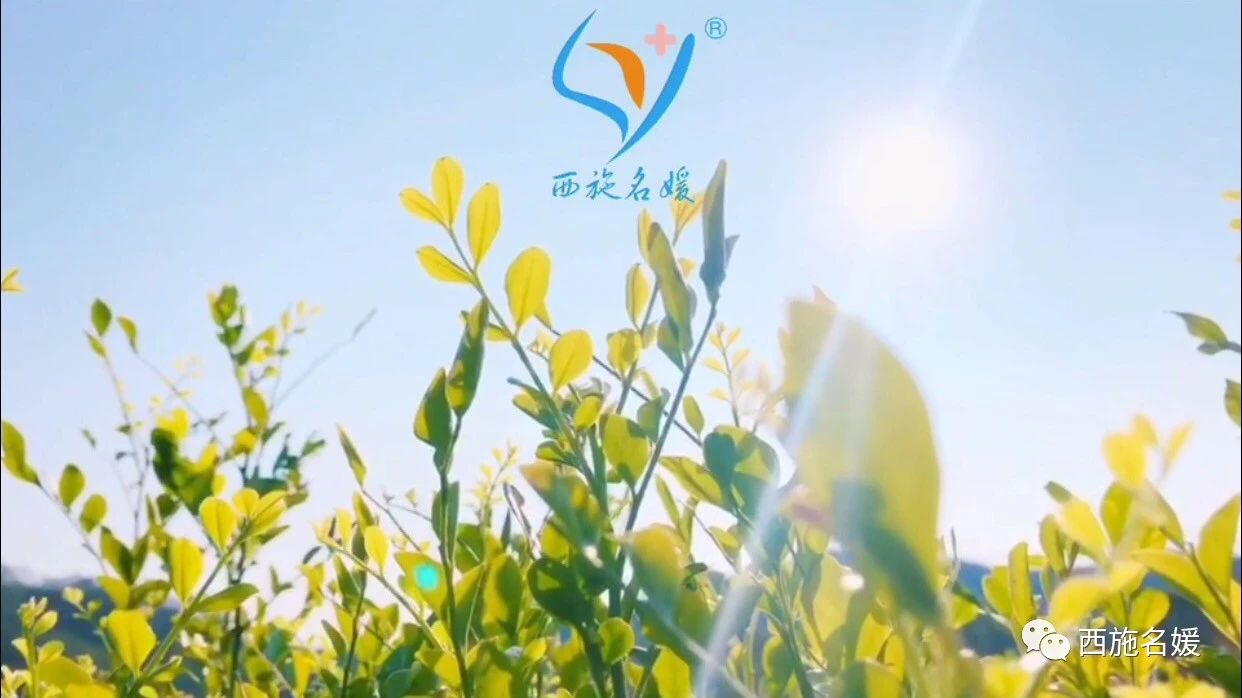 讓我們攜手堅持，靜待相逢時。