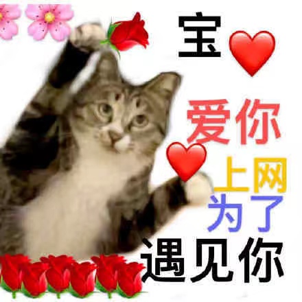一篇大實話丨讀懂年輕五歲，速來圍觀